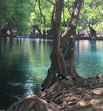 El lago de las lagrimas