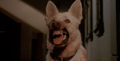 El perro fusilado en Riva Palacio