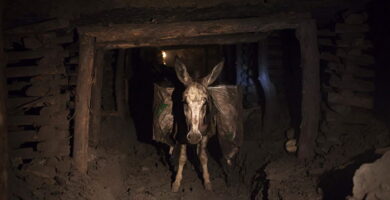El tesoro del tío Pereyra