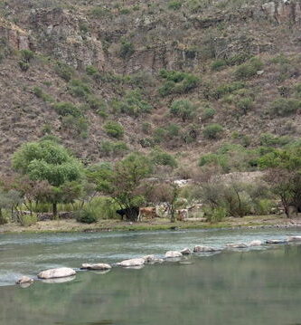 Las piedras azules del río Tunal