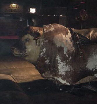 Toro mecánico