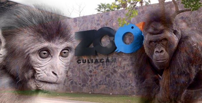 Zoológico de Culiacán